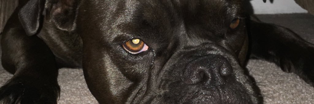 2jwm's profile banner image