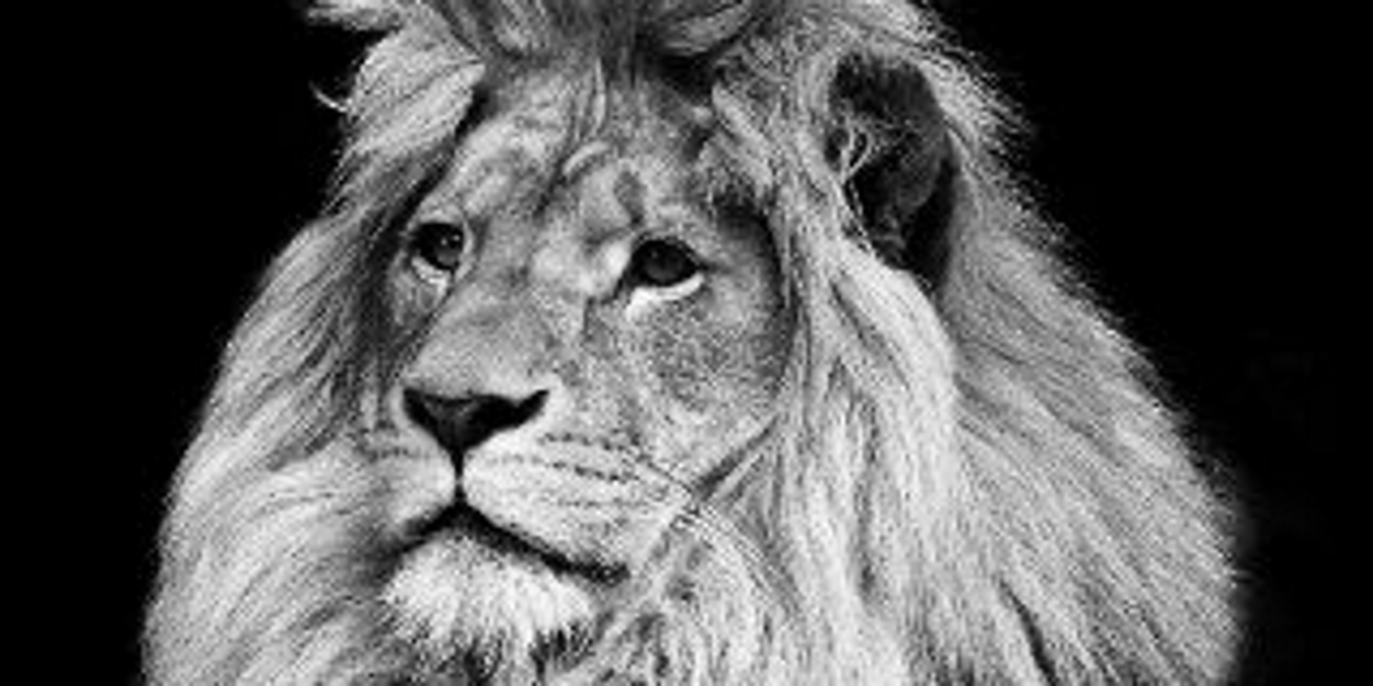 dika968's profile banner image