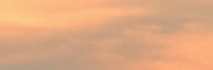 โบจัง banner