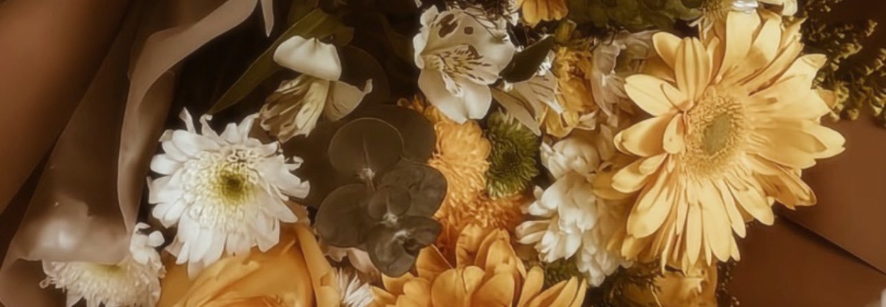 britaniaalv's profile banner image
