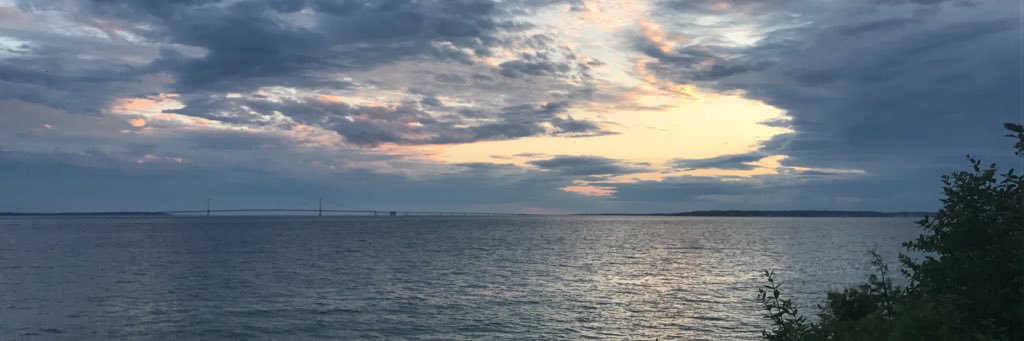 sophfek's profile banner image
