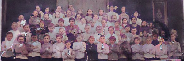 SeaMowse Profile Banner