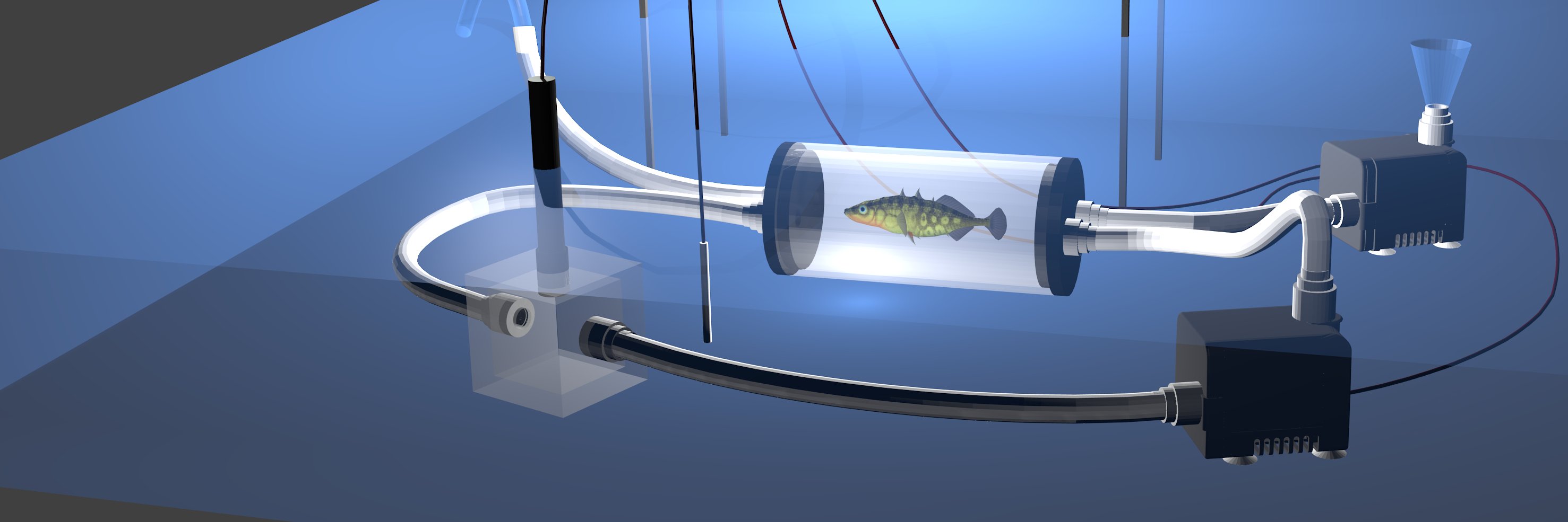 FishResp banner