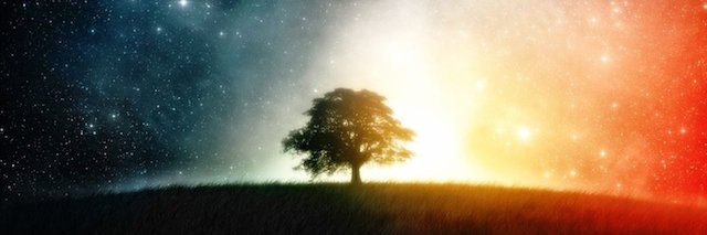 HootSoHealthy's profile banner image