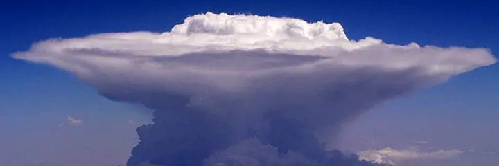 irenes123's profile banner image