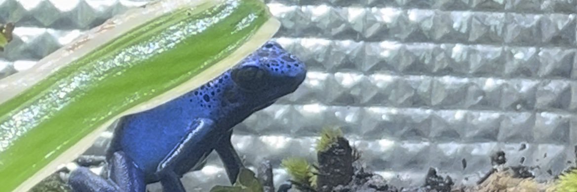 まっくんの趣味部屋 banner