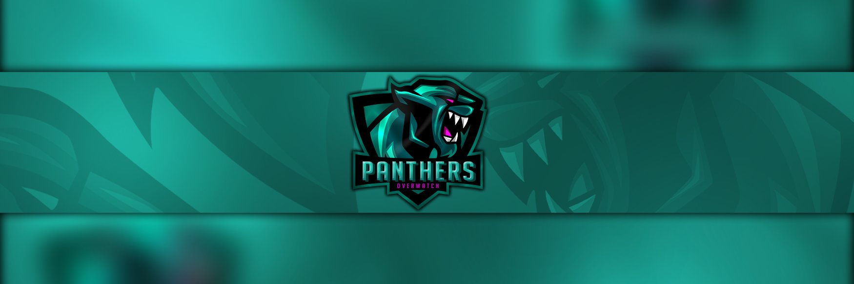 Panthers_Ow's profile banner image