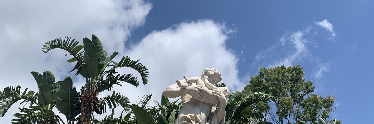 ameteavera's profile banner image
