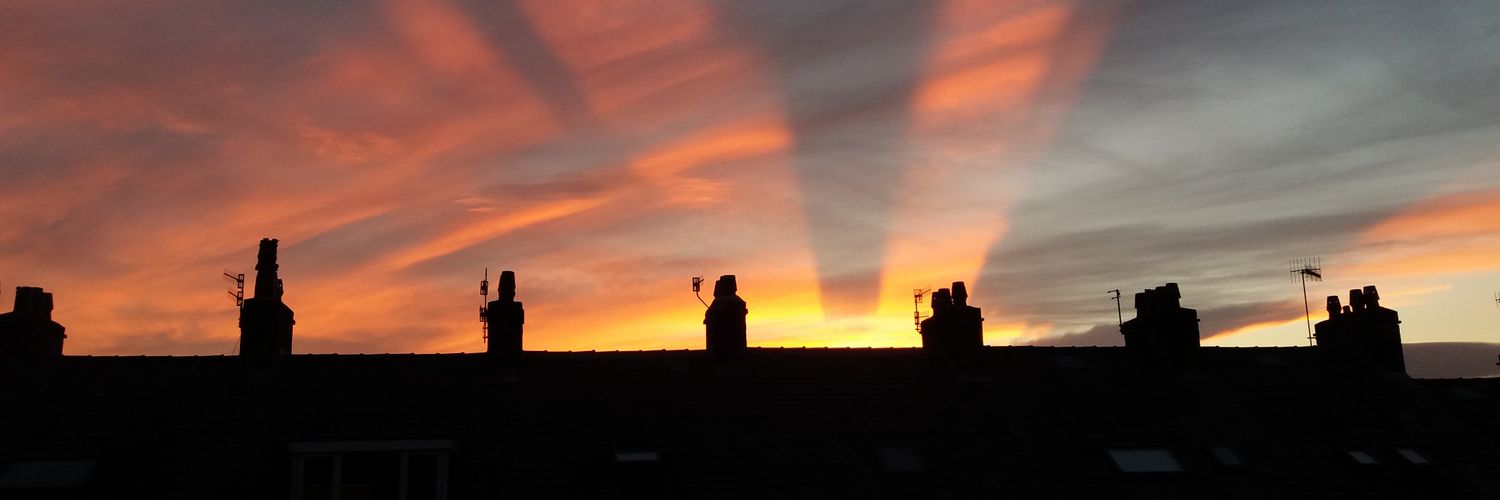 Helen Stevens banner