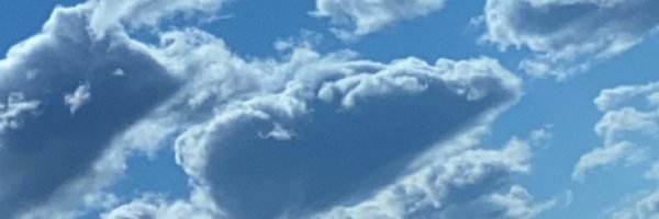 LionessOfLife21 Profile Banner