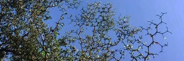 rogueESR Profile Banner