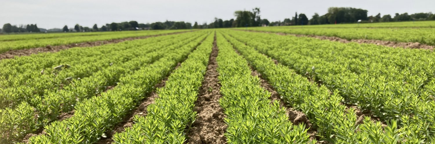 Benoit Normand banner