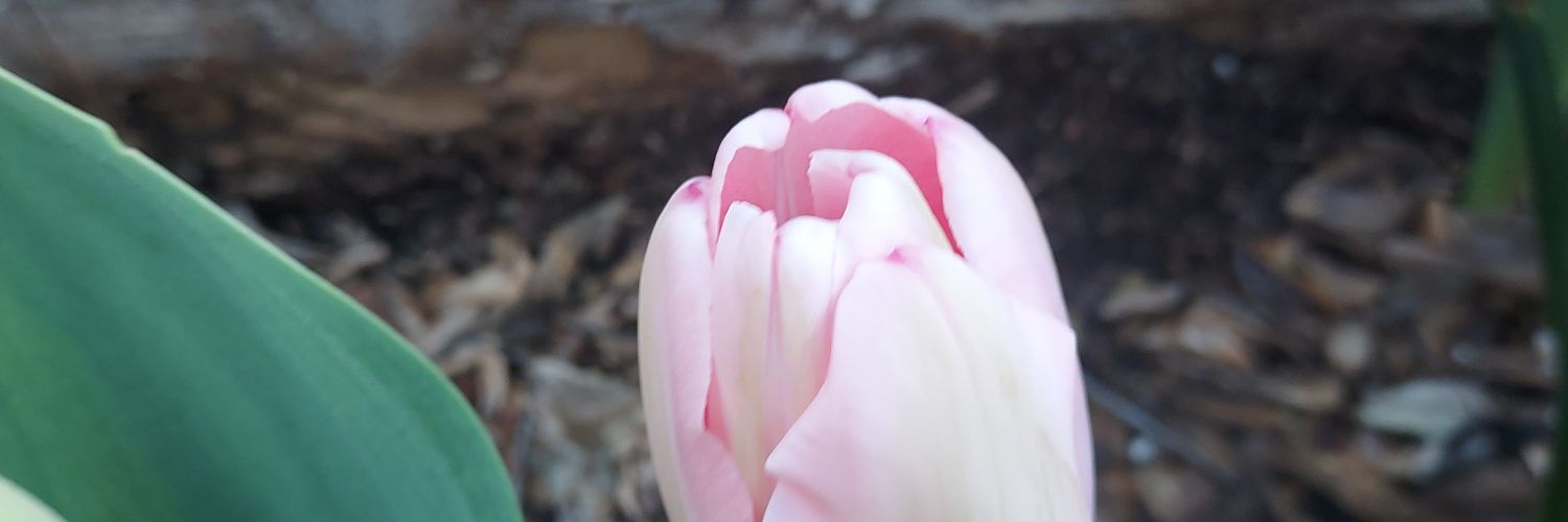 Kenneth Scott Tatem banner