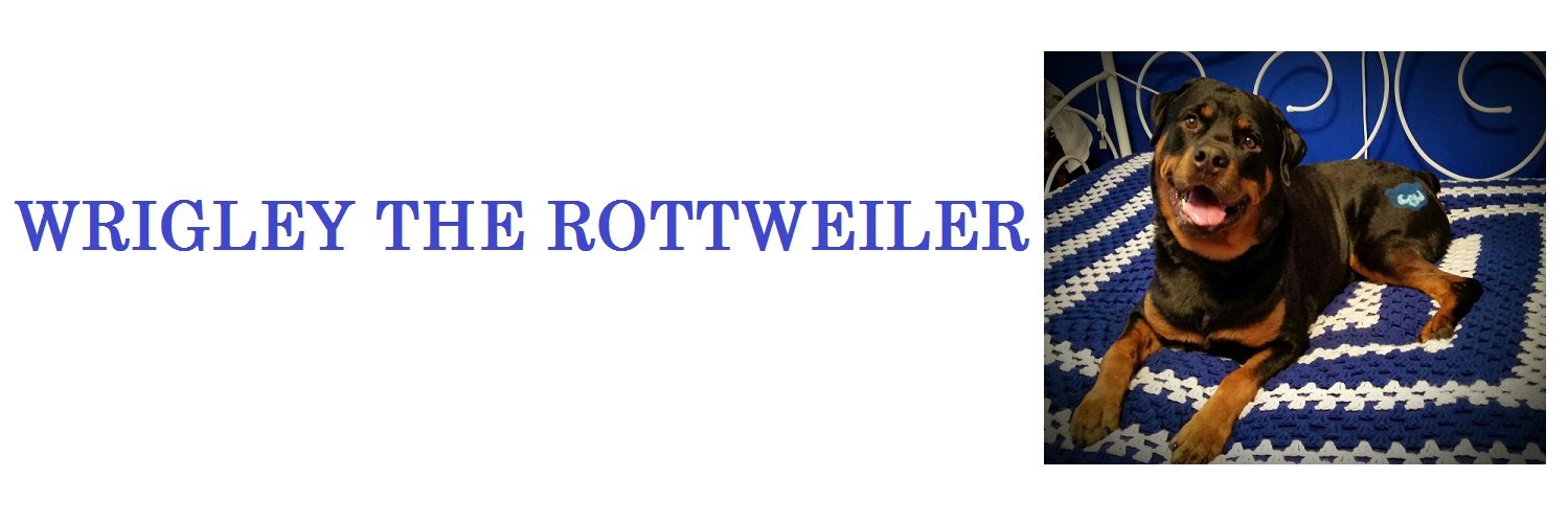 WrigleyTheRottweiler banner
