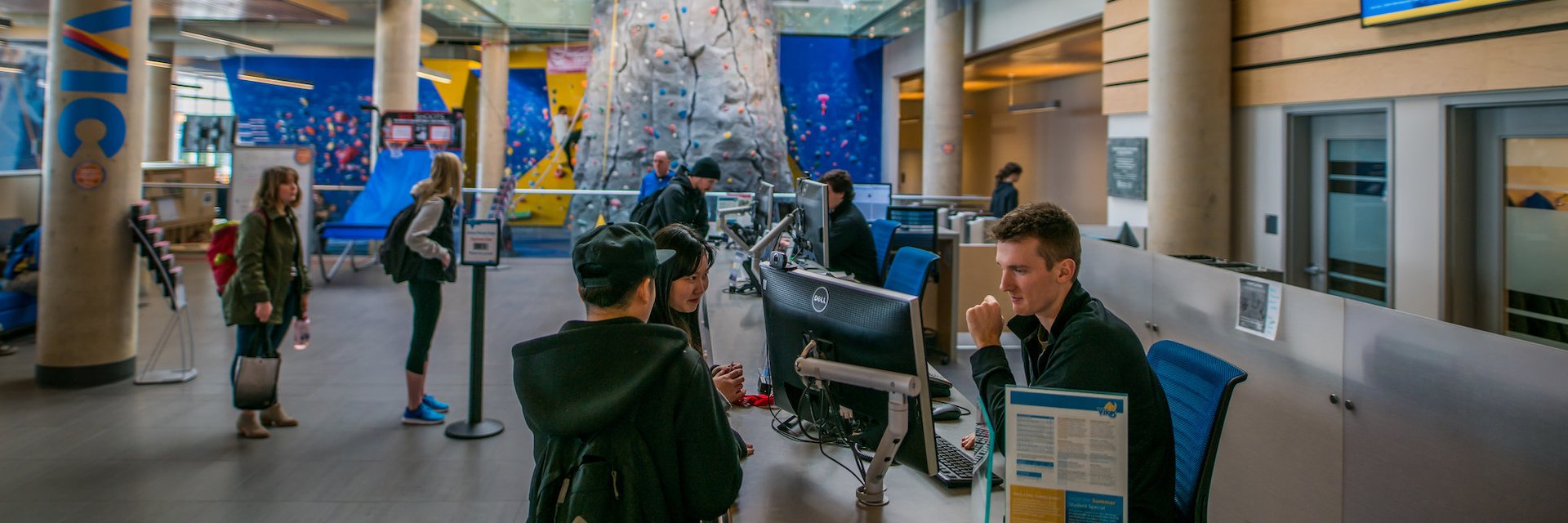 Vikes Recreation banner