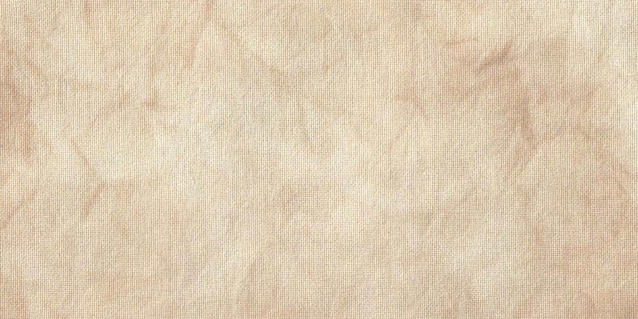 carousel411's profile banner image