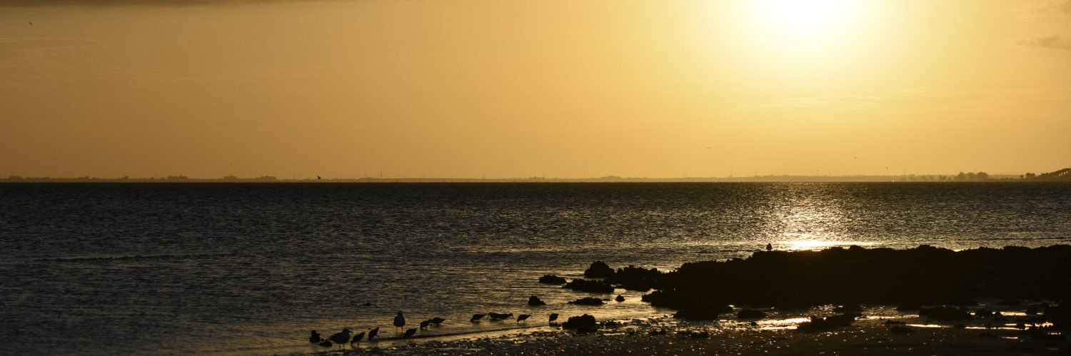 Chris_Erbiti's profile banner image