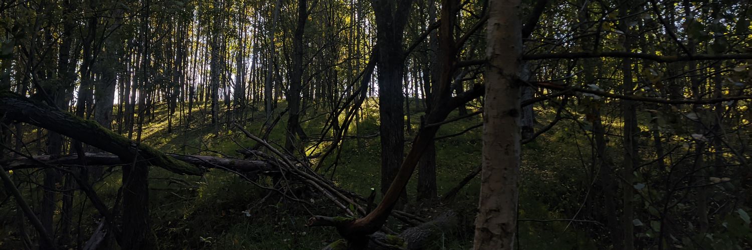 liqdb's profile banner image