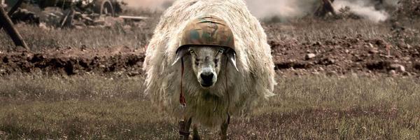 TheSlates Profile Banner