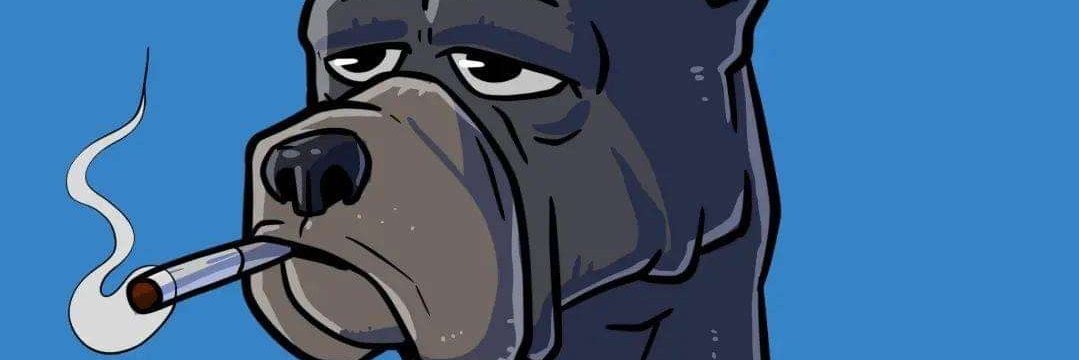 daniel omar montaña banner