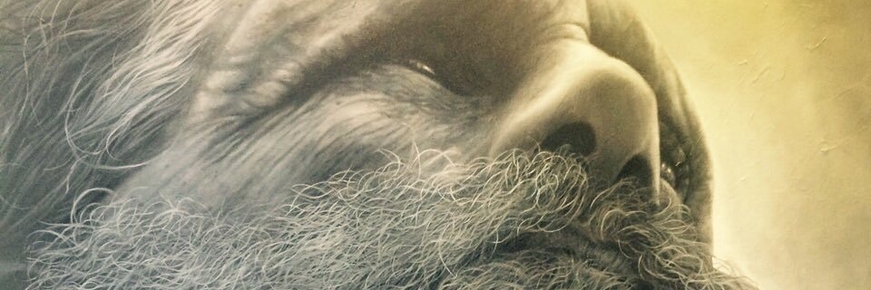 guscasty's profile banner image