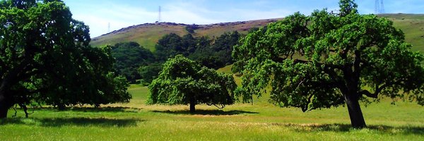 j_ikeme Profile Banner