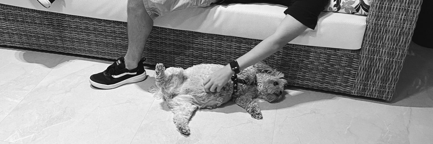 luiza banner