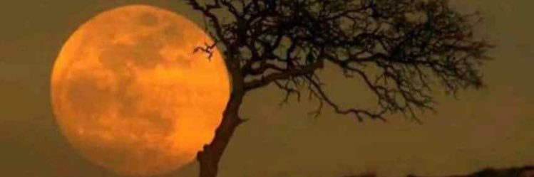 _mdhil's profile banner image