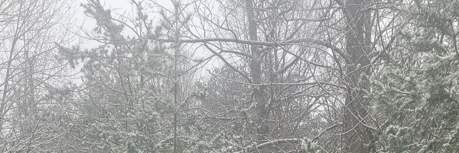 TimberMan1971's profile banner image