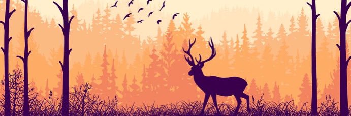 dawn🪽 banner