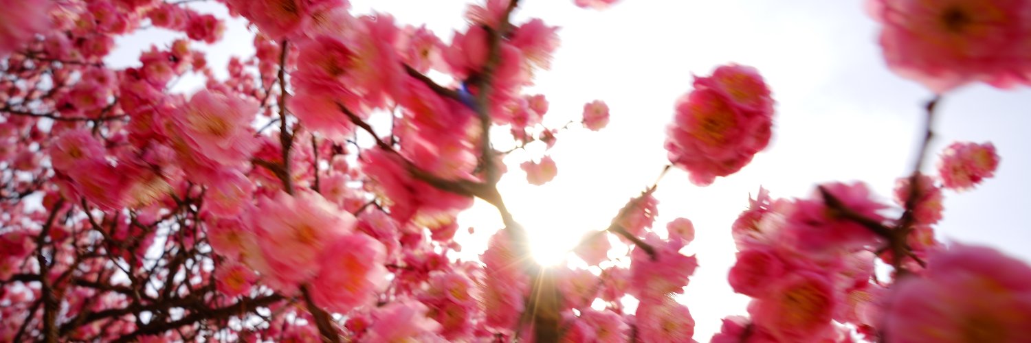 arteabc3's profile banner image