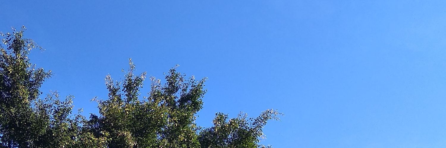 ayurhyw's profile banner image