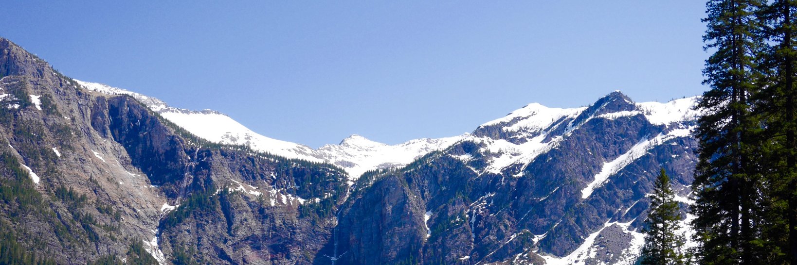 btc_freed's profile banner image