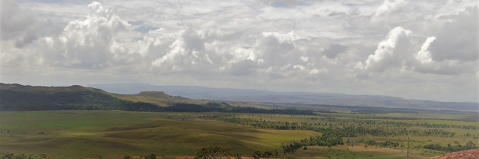 pantar3i's profile banner image