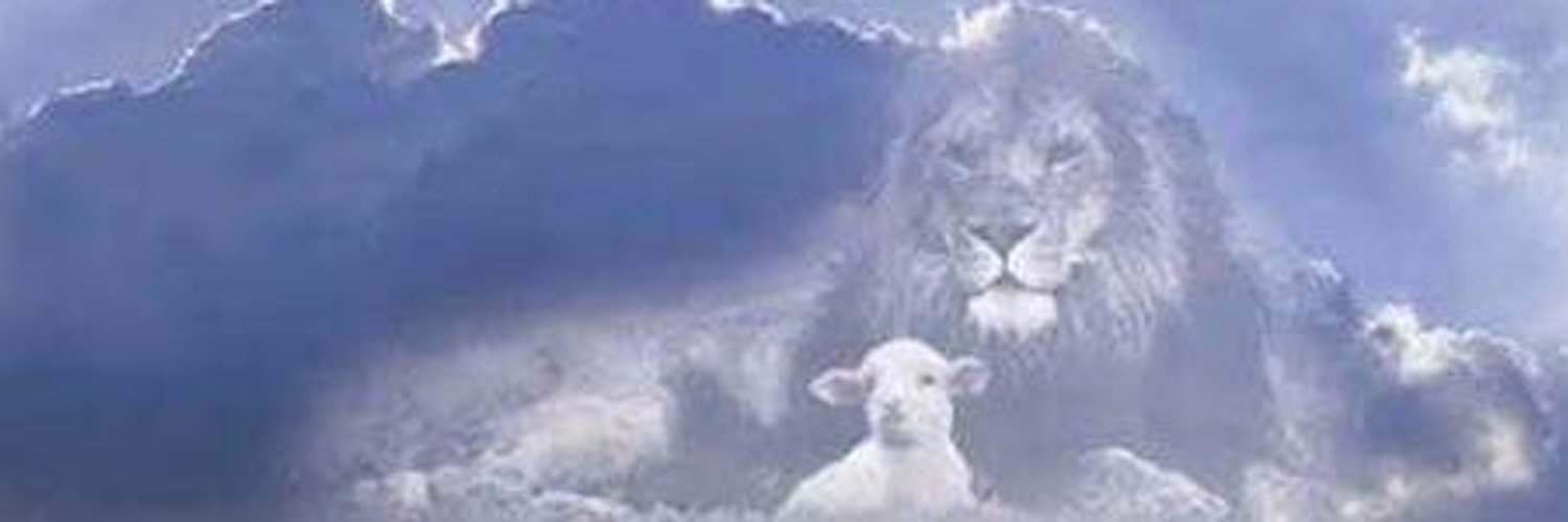 joyvoss1's profile banner image
