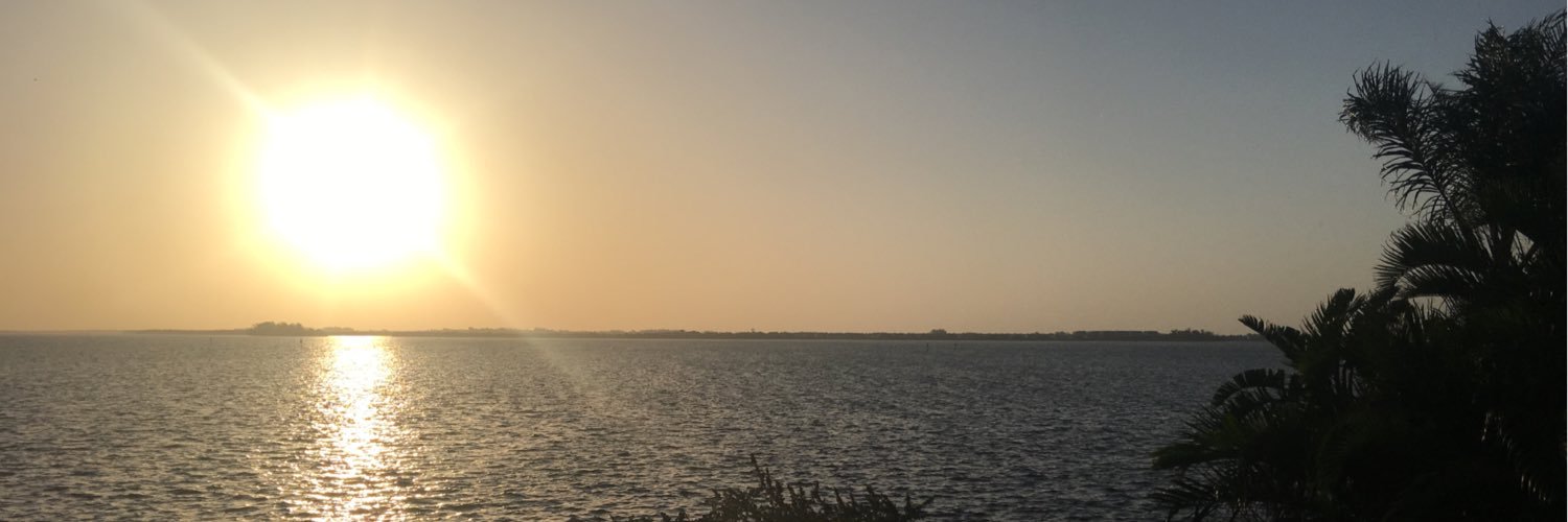 sunshine10s's profile banner image