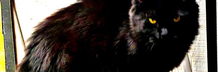 big_D71069's profile banner image