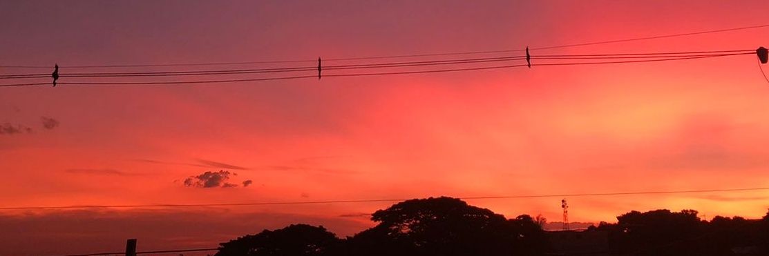 ribasb_'s profile banner image
