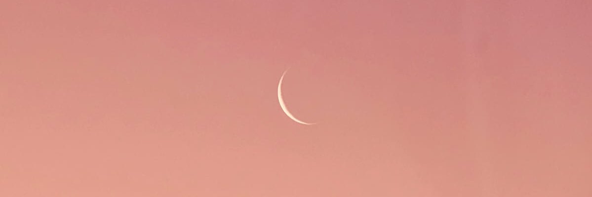 andrealisbethcm's profile banner image