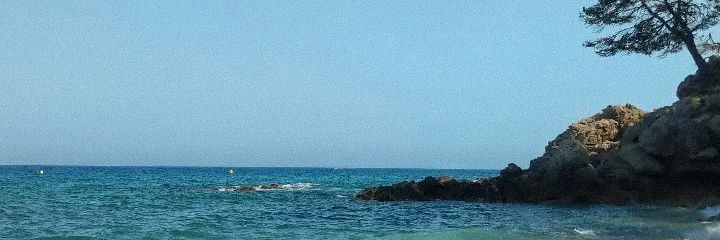 marizapatt's profile banner image