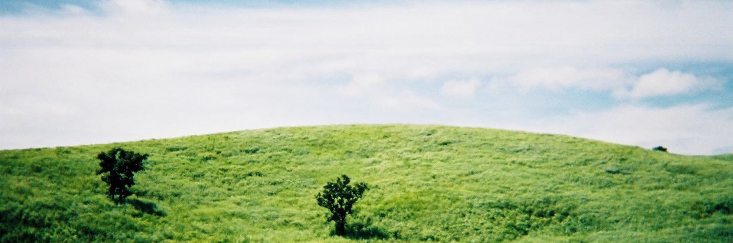 sincoszin's profile banner image