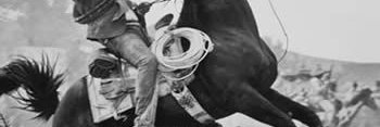 DON ANTICHAIRÓN PARA LA REVOLUCIÓN banner