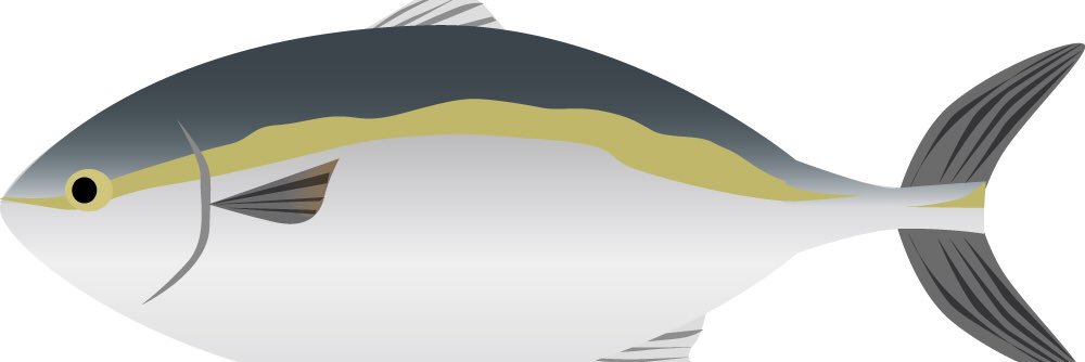 a__ii__ll__'s profile banner image