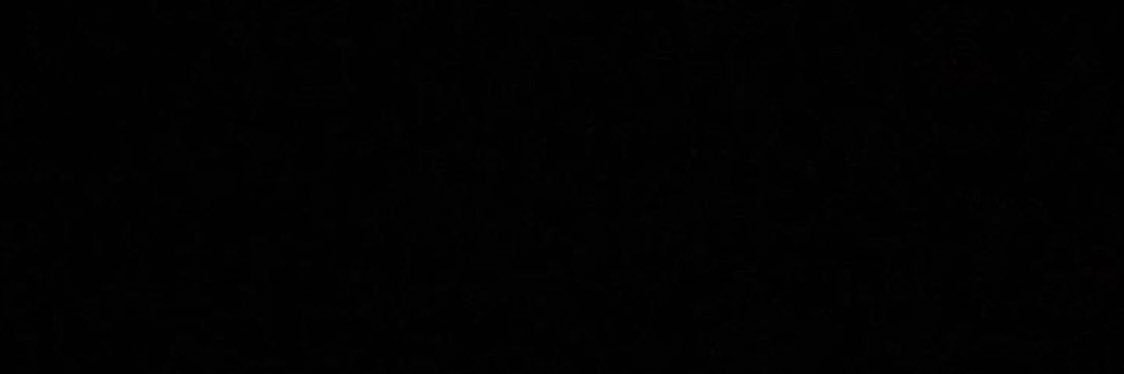 Duane English banner