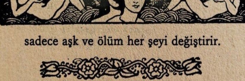 sevtapustaeyenn's profile banner image