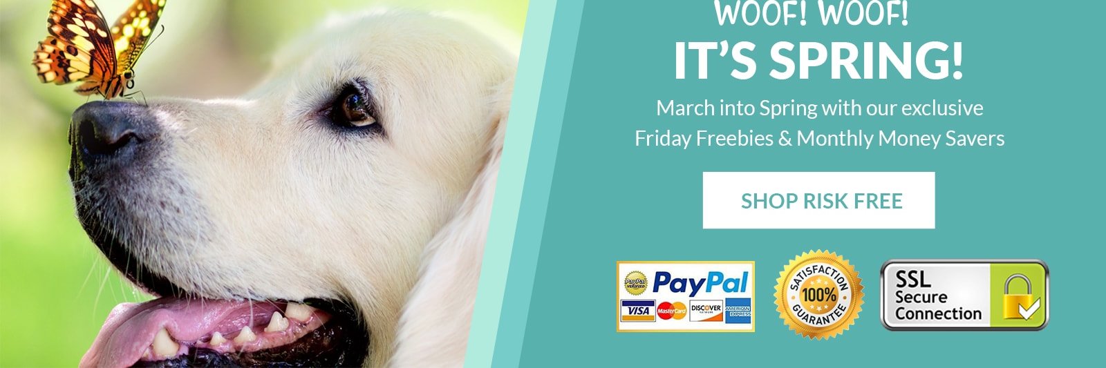 Paw_Theory's profile banner image