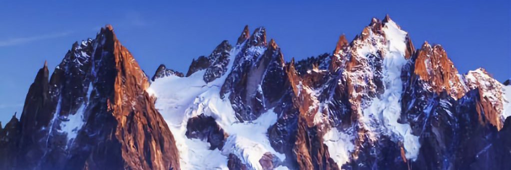 Dr. Bubba Winningham banner