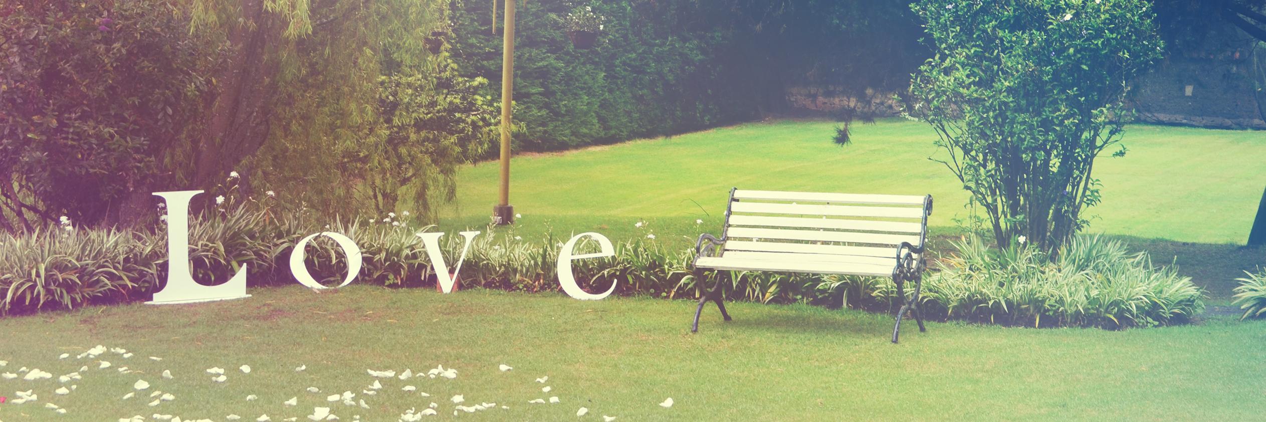 lauraneisaf's profile banner image