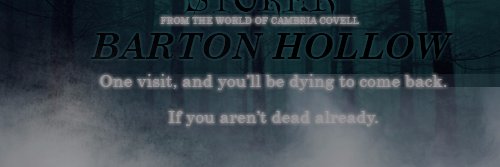 stoker_stella's profile banner image