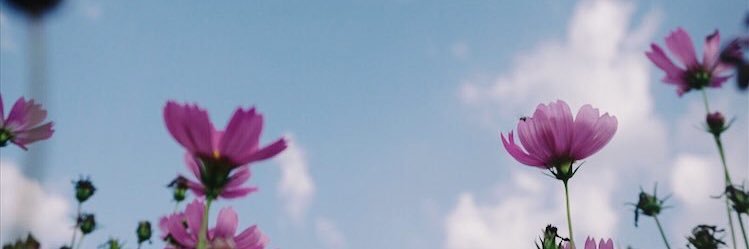• ゲー 🌙 We are made to love | มซ banner
